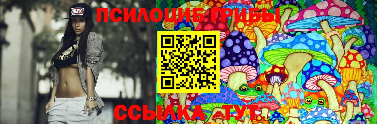 Пушкино  Галлюциногенные грибы прущие грибы  Вход с VPN 
