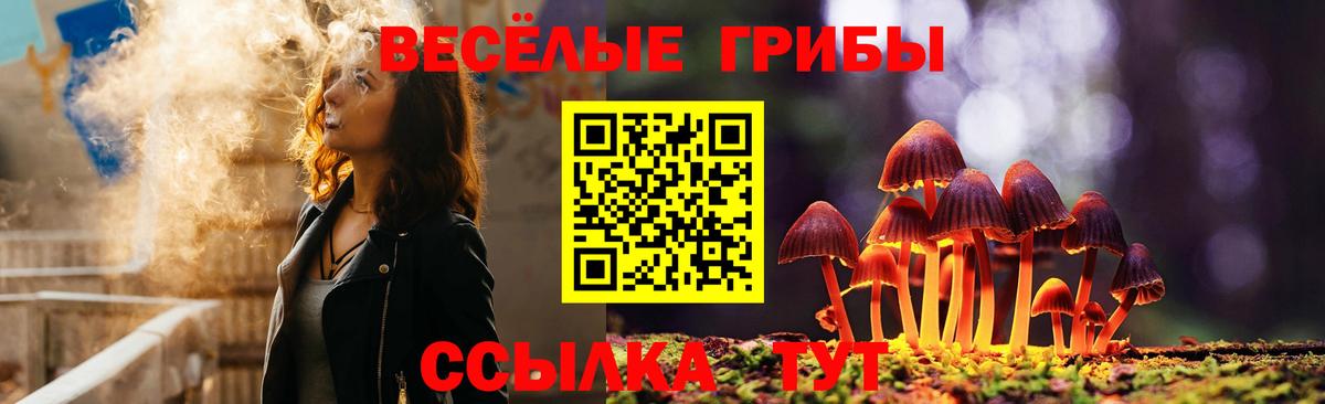 Псилоцибиновые грибы прущие грибы Пушкино
